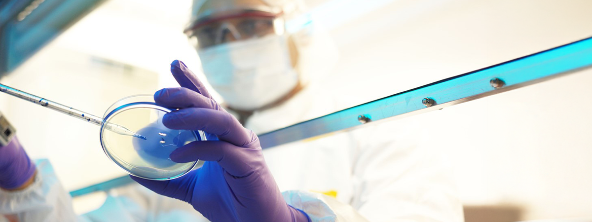 Considerations When Choosing an Expression System for Your Product